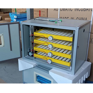 �L�S�����C ������ȫ�ԄӼ��ݷN�������� ������ 100-500ö