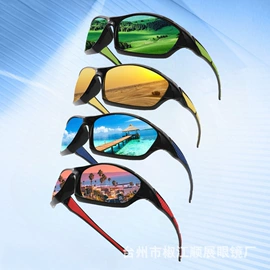 框架眼镜;太阳镜;光学眼镜