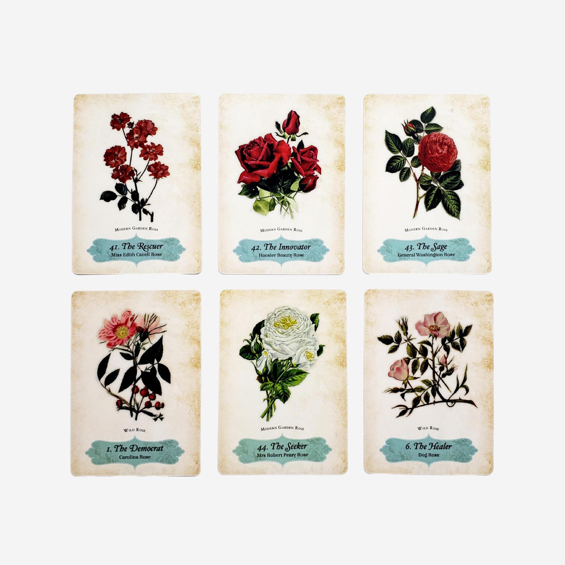 Oracle Of The Roses Card Game Party Games For Gatherings_voghion.com