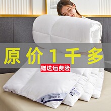 民宿酒店被子春秋被单双人被芯加厚冬被纯棉高级感高端团购礼品被