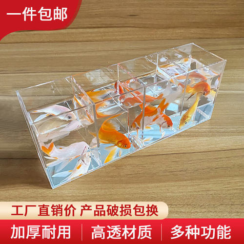 Isolation box small white betta display rack multi-grid desktop creative small fish tank ecological tank acrylic plate turtle