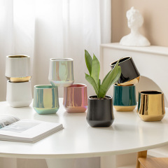 Colorful Electroplated Gold Ceramic Planter, Simple Nordic Cross-border Trade Ceramic Pot, Orchid Planter Balcony Small Flower Pot