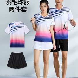 2025新款羽毛球服女运动队服速干吸汗男款训练乒乓网球衣短袖批发