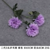 3 Ping Pong Chrysanthemum-Purple