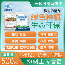 业盛旺套餐枯草芽孢杆菌哈茨木霉缓解烂根壮根长苗增根益生菌菌剂