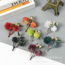 ɭϵ���滨�^�diy����ػ���ñ�� ��đ����С�ѻ������Ϸ���ֲ��