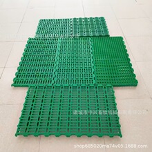 保育羊床羊圈泄粪地板中兴畜牧1件起批 羊舍漏粪板用塑料的优缺点