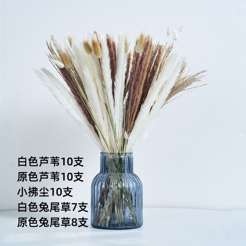 アマゾンはよく売れています。葦の花の花束です。|undefined