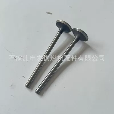 Valves and components ISDE intake valve
