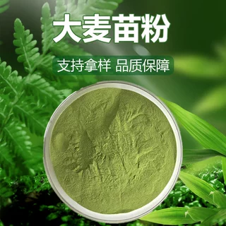 大麦苗粉 麦苗粉 大麦苗汁粉 水溶性麦苗粉 喷雾干燥 原料批发