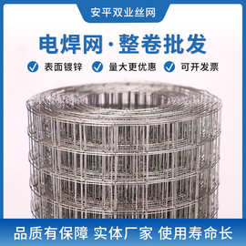 热镀锌电焊网 工地建筑网片养鸡网养殖网监狱围栏铁网 铁丝网批发