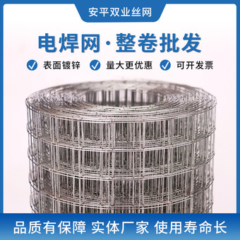 热镀锌电焊网 工地建筑网片养鸡网养殖网监狱围栏铁网 铁丝网批发