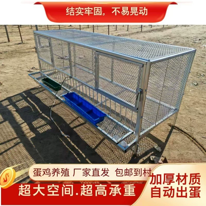 Стальная пластина, перфорированная сетка, клетка для кур, клетка для разведения кур, клетка для кур, бытовая клетка для дома и на открытом воздухе, большая, очень большая, автоматическая клетка для кладки яиц