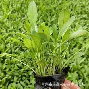 ���u���޸��ݻ�С��С��˹С����\�u�ջ��ܿ�ȸ�������^���p��
