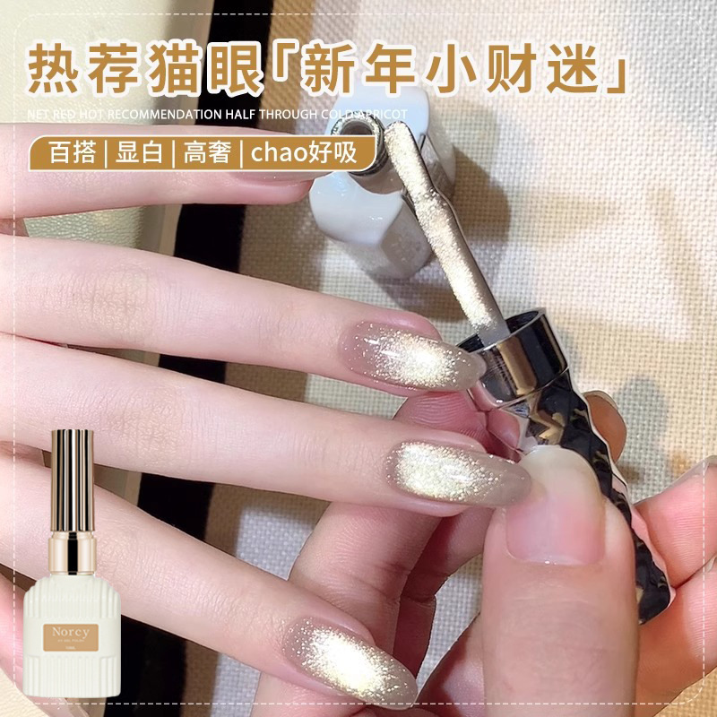 New Year's Little Fortune Cat's Eye Nail Polish Gel 2026 New Spring/Summer Flashing Crystal Cat's Eye Nail Art Wholesale
