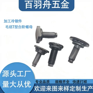 定制加工非标异形螺丝加工冷镦件毛坯T型台阶螺母加工件