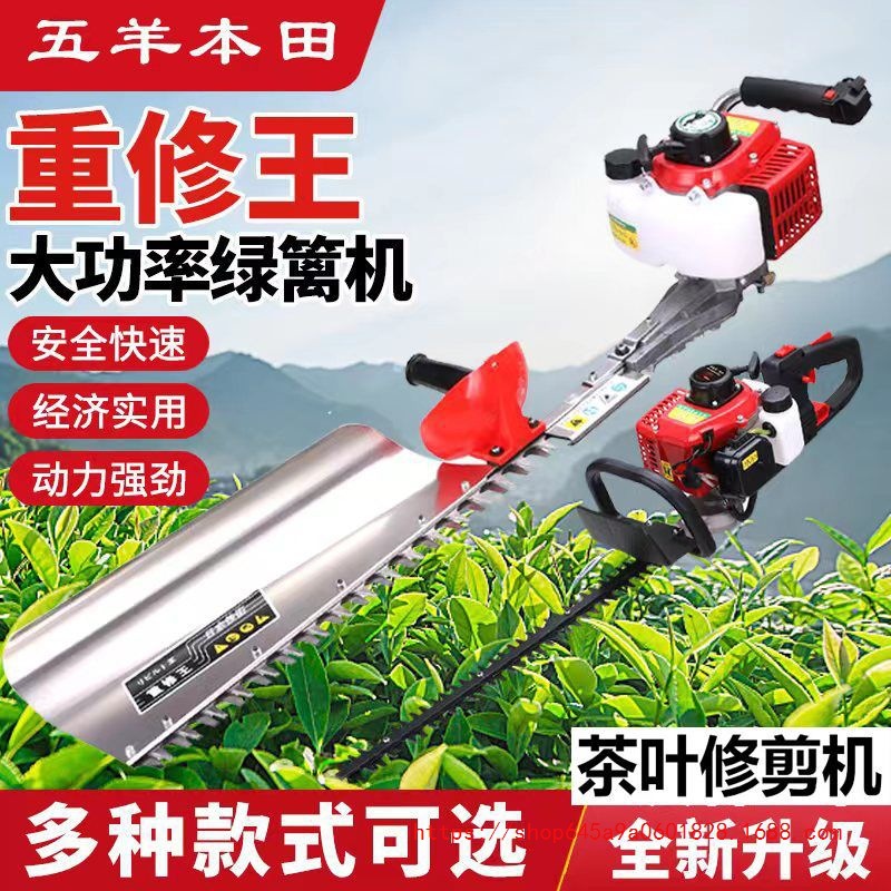 进口五羊本田汽油绿篱机茶树剪茶机割茉莉花机横县园林绿化原装