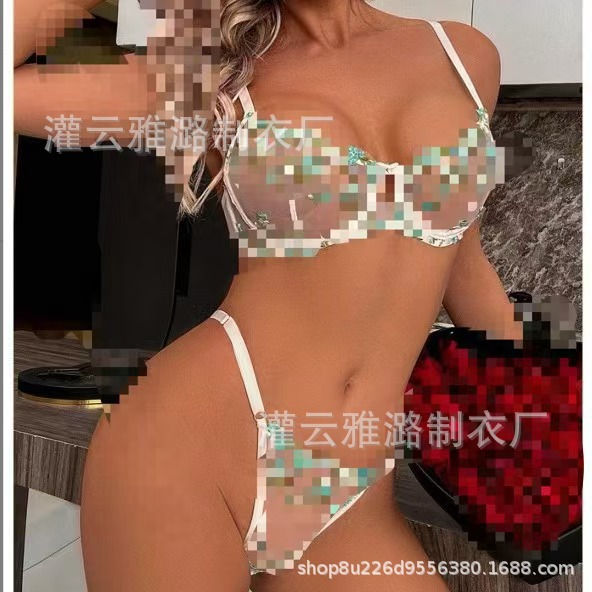 Aiyang amazon delgada ropa interior europea y americana fábrica de bordado de comercio exterior venta directa de tamaño de encaje impresión labial