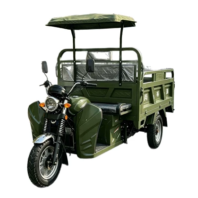 with Canopy, Three-Wheeled Motorcycles, Sərnişin üçtəkərli motosikllar