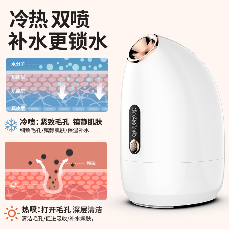 New Cold and Hot Dual Spray Facial Steamer Hydrating Moisturizing Mist Maker Pore Cleansing Humidifier Face Beauty Device