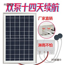 �~��̫���������Ñ��������������ͥԺ�~�����B�~С����̫��