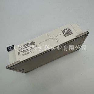 Zgs300M17Bm2