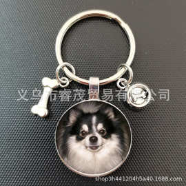 可爱动物小猎犬哈巴狗玻璃凸圆形狮子狗泰迪艺术图片玻璃钥匙扣