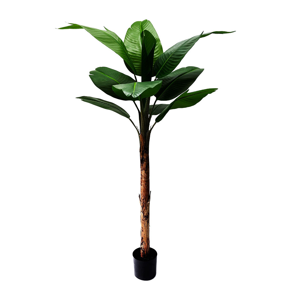 Altura del producto 160CM 10 hojas + 6 pulgadas maceta de goma negra