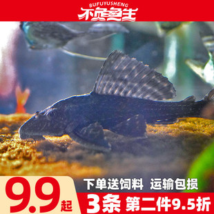 ������~�����~�����~���ߵח��~�����~�~��ˮ�匙�ﵭˮ�Ꭷ���w