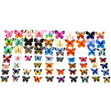 塑料软胶蝴蝶花头 仿真花家居装饰婚礼布置 批发摆件户外餐桌布置