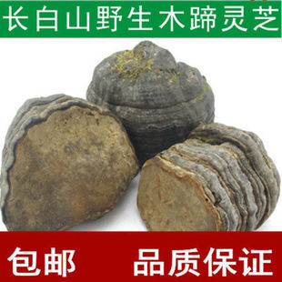 Ұ��ľ���`֥ �R���`֥ �L��ɽľ��ӿ׾� ��Ʒ���]