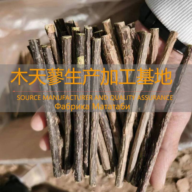 국경을 넘는 풀 사이즈 Polygonum pipelinacea 가방 고양이 장난감 자체 높은 물린 지루함 Polygonum pipelinacea 고양이 애타게 고양이 장난감