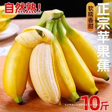 TT苹果蕉当季新鲜水果香蕉整箱10斤大果自然熟小米蕉绿芭蕉心