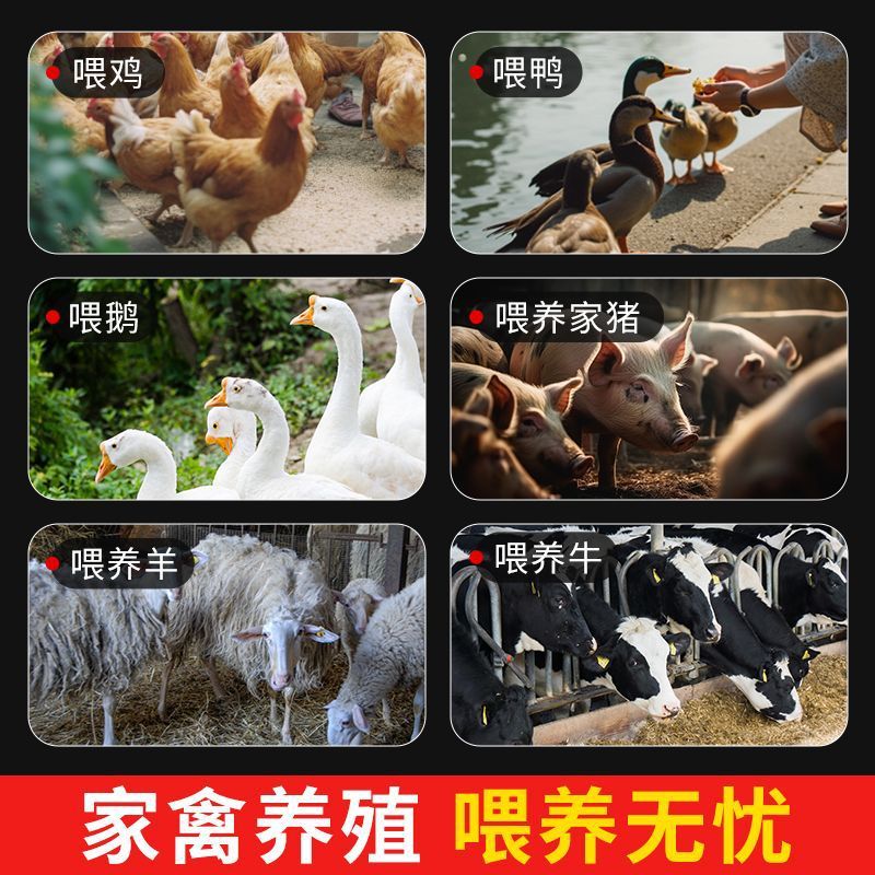 新しい野菜粉砕機、草カッター、鶏、アヒル、ガチョウ、家禽用バケット型多機能野菜粉砕機、家庭用ステンレス鋼粉砕機|undefined
