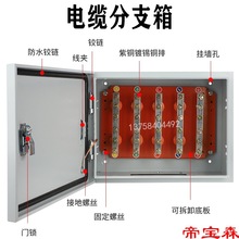 T礦物電纜分支箱銅排T接轉換配電箱 接線端子分流箱BTTZ絕緣電位