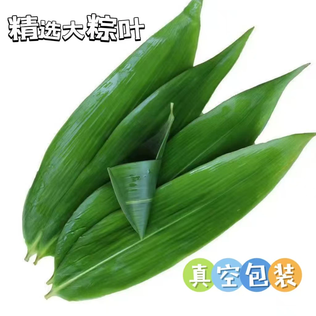 Листья мушмулы свежие листья мушмулы 50 кусочков ручной работы