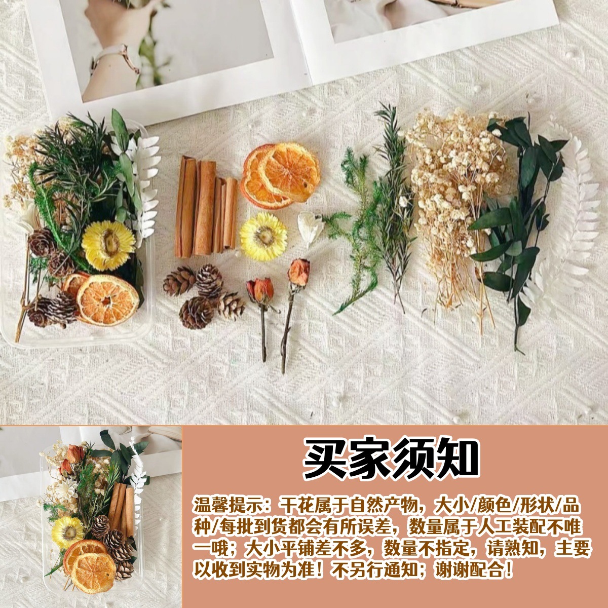 Fruitas secas flores secas DIY material paquete de plantas naturales secas al aire navidad pine canela hecha a mano in decoración adornos inmortales