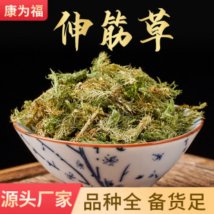 ���� ��������������ș�ģ����]������� ����ă�