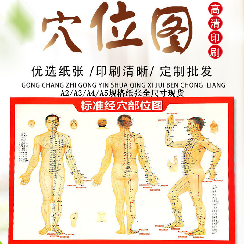 High-Definition Printable Human Body Meridian and Acupuncture Point Chart A3A4 for Home Use, Moxibustion Meridian Chart, Cupping Massage and Gua Sha Chart