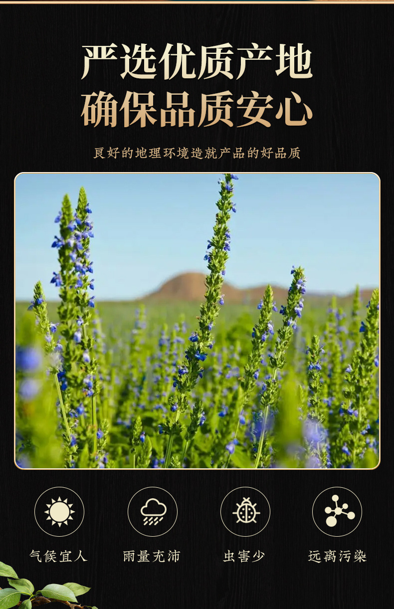 Chia Seeds (Salvia hispanica) — Raw Food-Herb Seed for Soaking, Blending & Grain Bowls overview