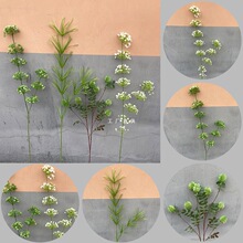 ��֦����������ѹ�Ӣ��G�\�Gɭϵ��Y��c�b�·���廨�����~��