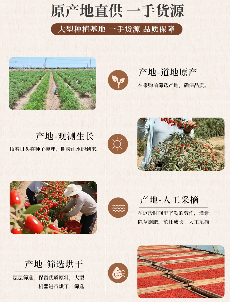 Ningxia Goji Berries Gou Qi Zi Premium Grade Dried Whole Berries 500g for Tea Soup and Snacking quality and texture