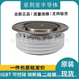 IGBT模块;集成电路;普通晶闸管