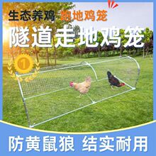 �F�W�ߵ��u�\�����û\�B�u�\���r���������_�ܵ��r���u��ɢ�B�Bֳ