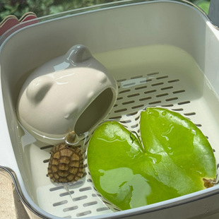 Turtle Breeding Tank Shelter House Home Living Room Dormitory Desktop Small Brazilian Turtle Sun Terrace Fish Tank Easy to Change Water