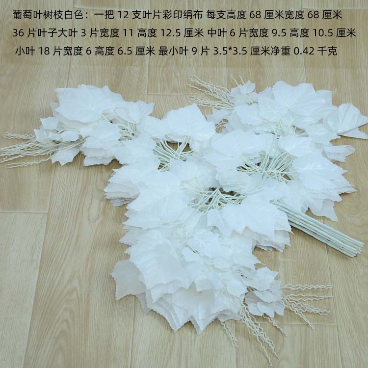 葡萄叶树枝白色