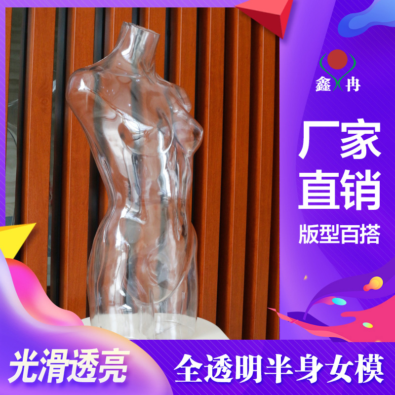 Transparent model female half-length fak...