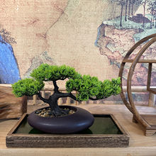 迎客松輕奢綠植盆景玄關桌面裝飾客廳盆景造景酒店裝飾代發跨境