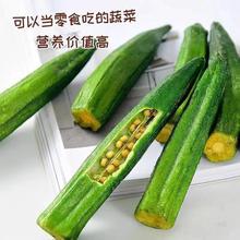 黄秋葵脆蔬果干即食秋葵干袋装脱水果干儿童孕妇蔬菜干休闲零食