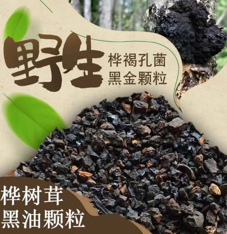 Wild Birch Chaga Mushroom Dark Extract Deep Aged Direct From Origin 500g Culinary Use overview